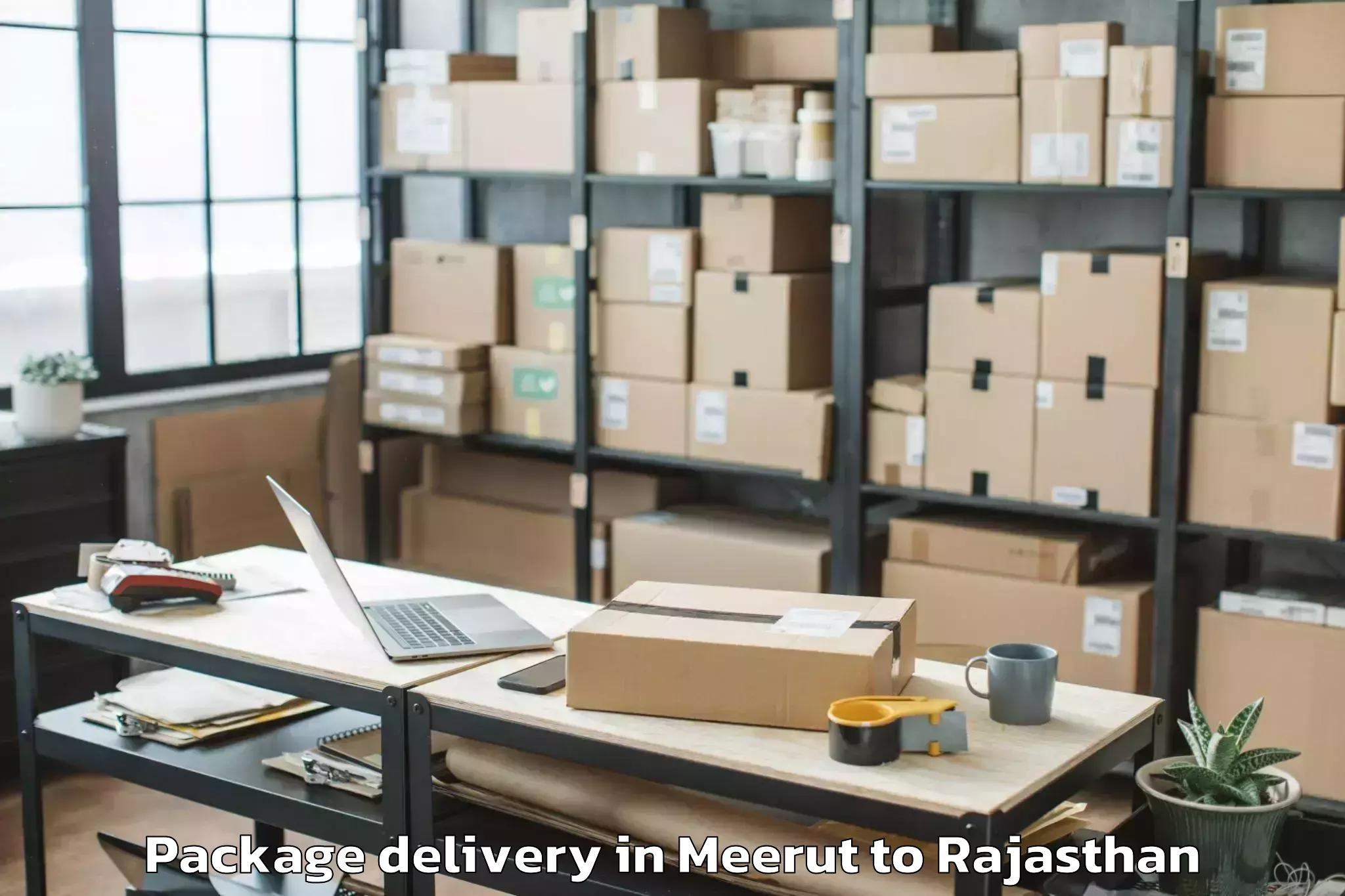 Trusted Meerut to Malpura Package Delivery